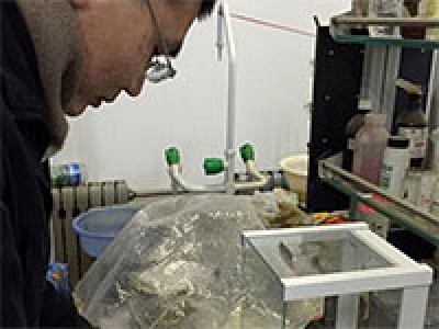 變廢為寶“魔術(shù)師”，舊塑料變家裝板材